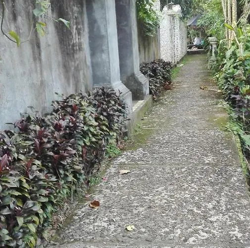 Topok House 3* Ubud