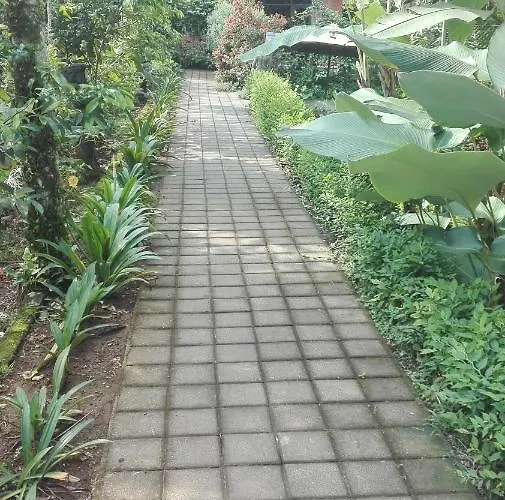 Pensión Topok House Ubud